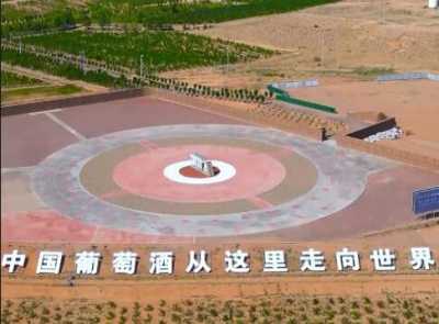 贺兰山东麓的葡萄熟了